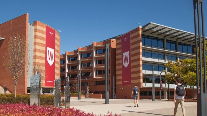 Giảm sinh viên quốc tế, trường đại học tại Australia cắt giảm nhiều lao động